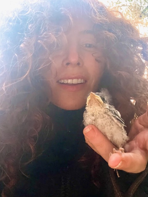 Alma Har’el