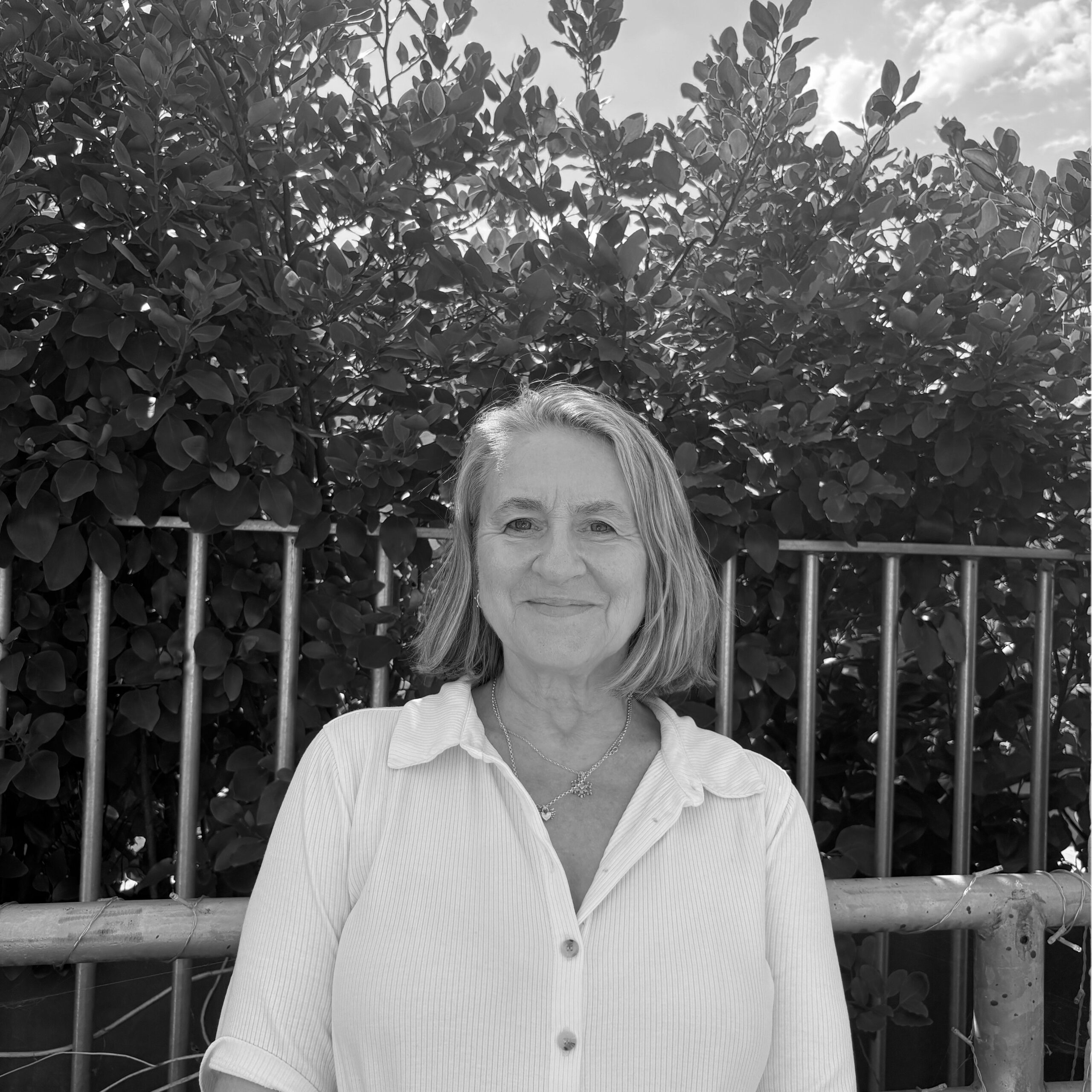 SUE LOUGHLIN